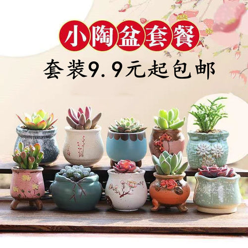 陶瓷花盆复古素烧粗陶多肉植物