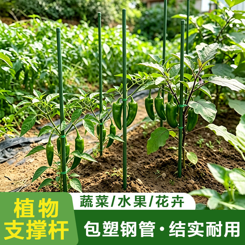 园艺支架包塑钢管西红柿扶苗杆辣椒茄子番茄固定棍防倒伏支撑杆架图片