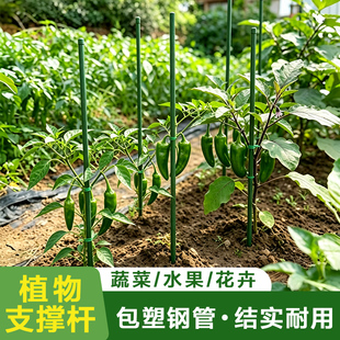 园艺支架包塑钢管西红柿扶苗杆辣椒茄子番茄固定棍防倒伏支撑杆架