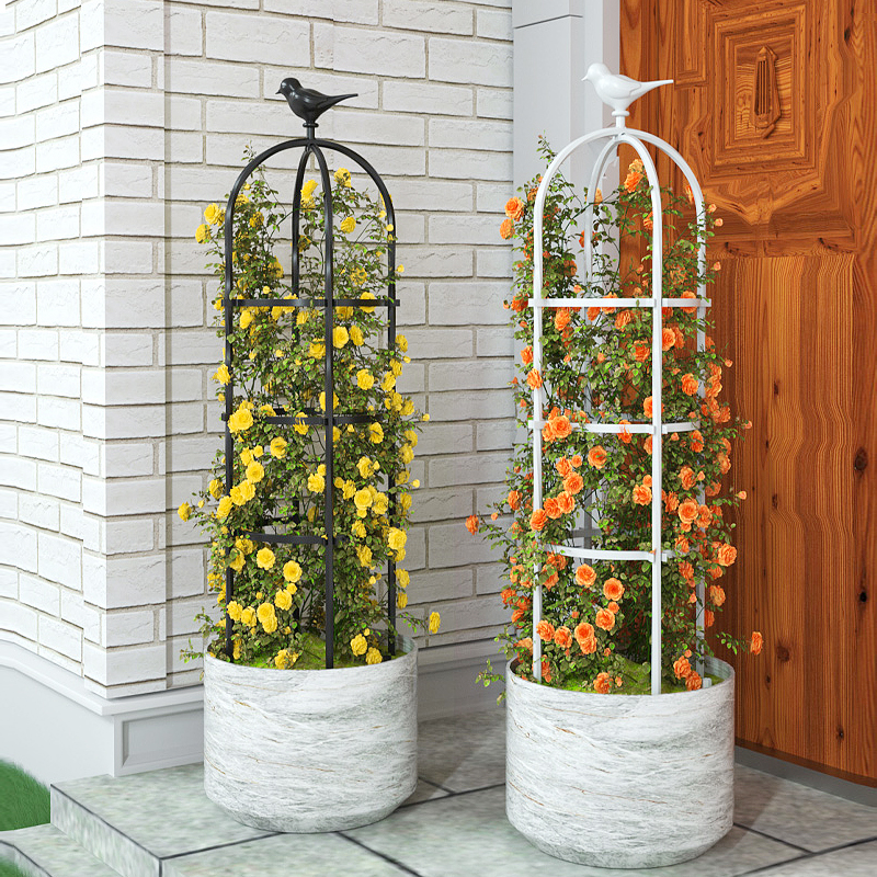 不锈钢铁艺月季铁线莲爬藤花支架