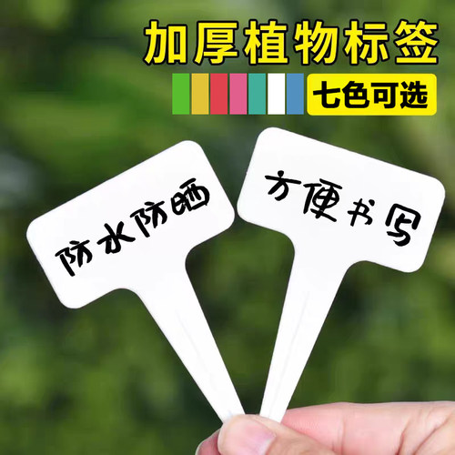 多肉标签T型防水1字型插牌