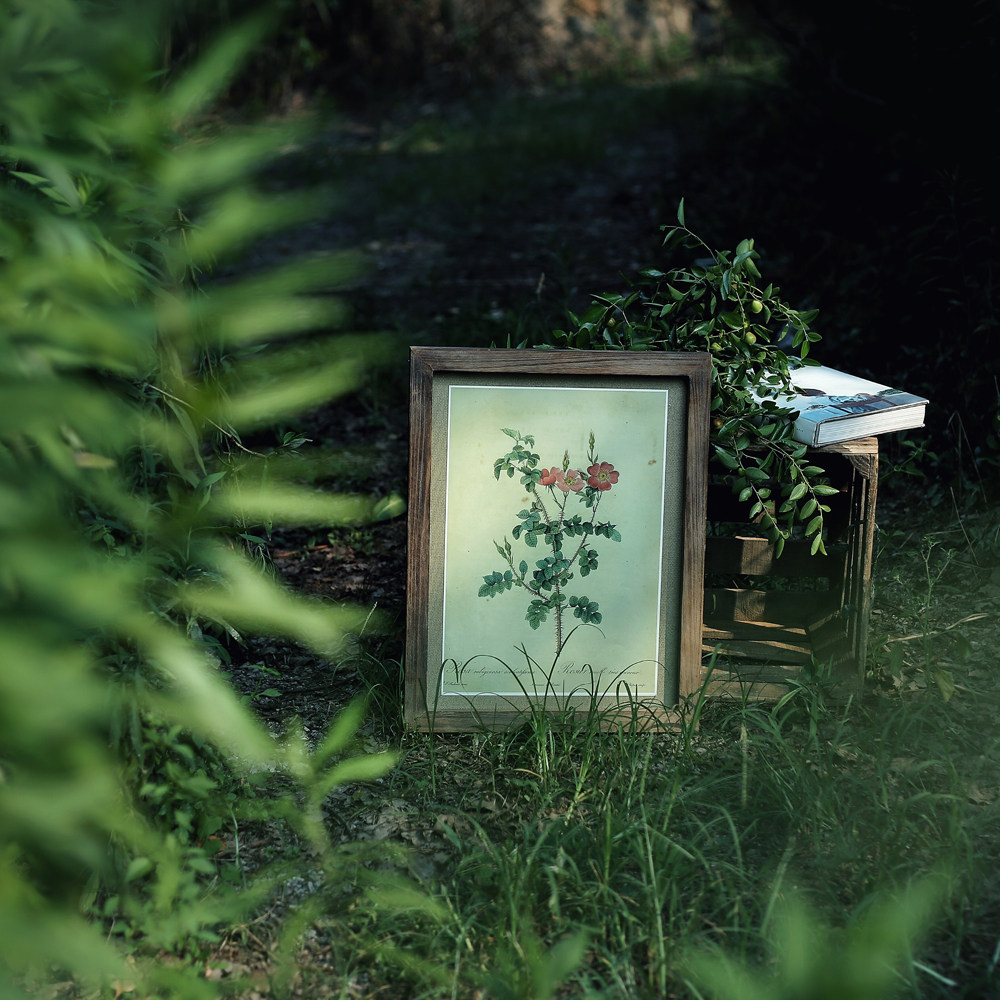 [ CHIC ROSE ]solid wood Do the old Decorative painting Burlap Backplane Photo frame rose Classic picture framein the Home accessories , Frame/Frames  category - from Buy2taobao.com to provide professional Taobao agent buy service
