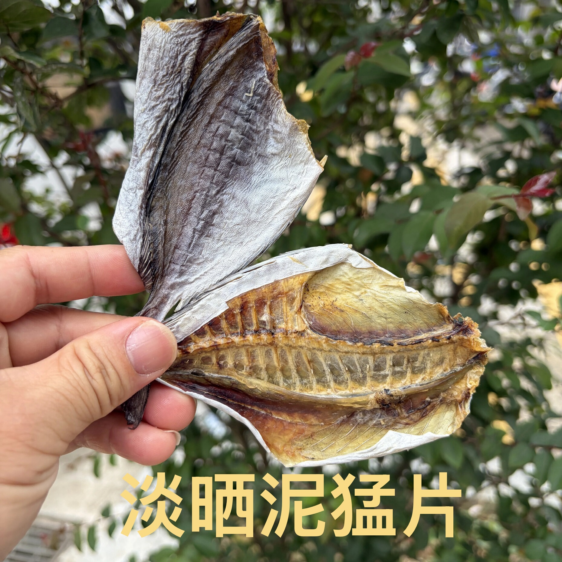 淡晒去头开片泥猛鱼干泥猛仔鱼干泥孟鱼片淡口渔民生晒台山特产