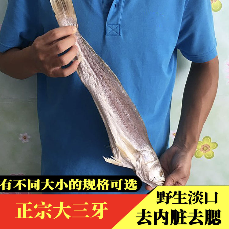 台山特产海味干货江门台山海鲜