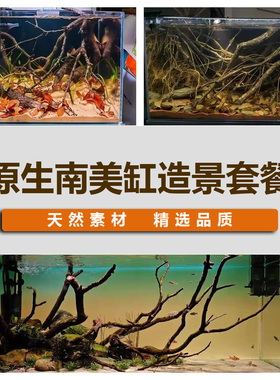 南美缸造景天然小树枝沉木枝条黄梨枝细枝原生缸底床修饰点缀装饰