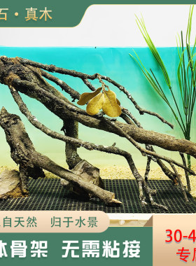 黄梨木一体骨架免组装易造景