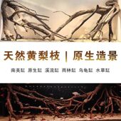 原生南美缸造景天然黄梨木黄栎木枝造景原生溪流缸造景套餐更划算