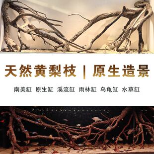 原生南美缸造景天然黄梨木黄栎木枝造景原生溪流缸造景套餐更划算