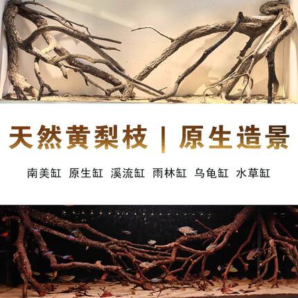 原生南美缸造景天然黄梨木黄栎木枝造景原生溪流缸造景套餐更划算