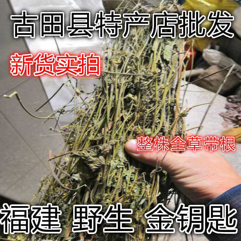 福建野生金钥匙 金锁匙 八月白 异叶茴芹 鹅脚板草 苦爹菜 250克