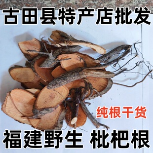 野生枇杷根 纯根干货 山枇杷根 野枇杷树根 琵琶根 正品新货包邮