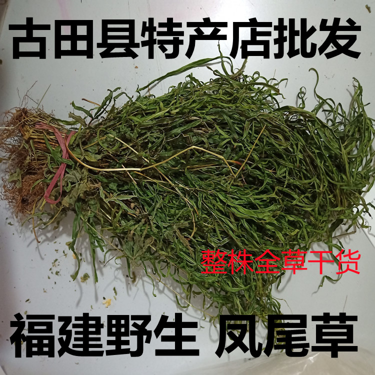 野生凤尾草 井边凤尾草 鸡脚草 金鸡尾井栏草凤尾蕨 全草干货包邮
