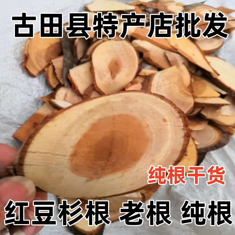 红豆杉根 红豆杉树根 中药材 南方红豆杉树根 纯根新货干货 包邮