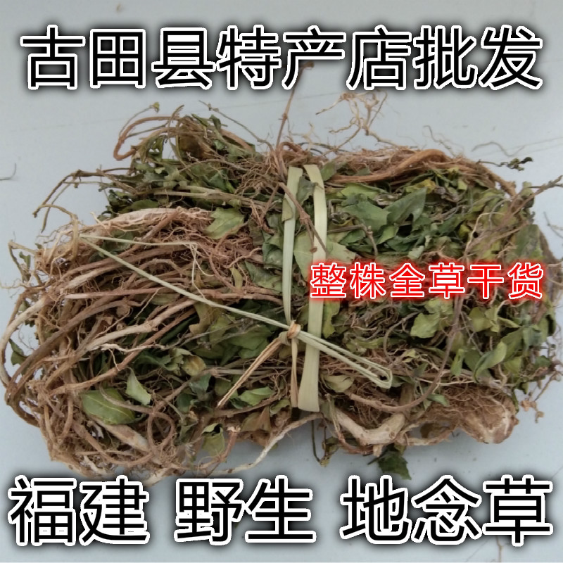 地菍野生青草  地石榴 地念草 紫茄子 地脚茶 地茄 整株干货250克
