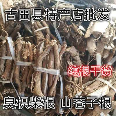 福建纯野生山苍子根 豆鼓姜 臭积柴 木姜子山鸡椒 纯根干货包邮