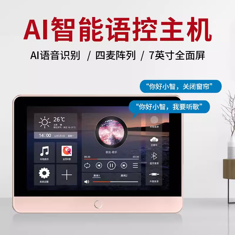 CNWISE/华尔思H6家庭背景音乐系统套装 WIFI背景音乐控制器吸顶