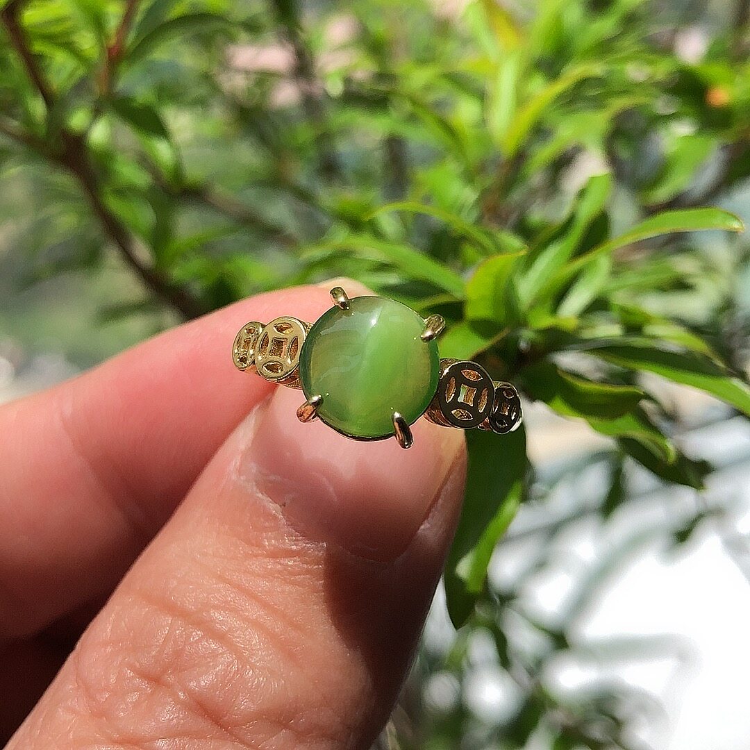和田玉猫眼碧玉戒指聚财钱币冰透无黑点高货料女戒珍藏款可调节