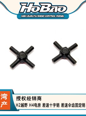 禾宝HOBAO 41007 H2越野 H4电房 差速十字销 差速伞齿固定销 2PCS