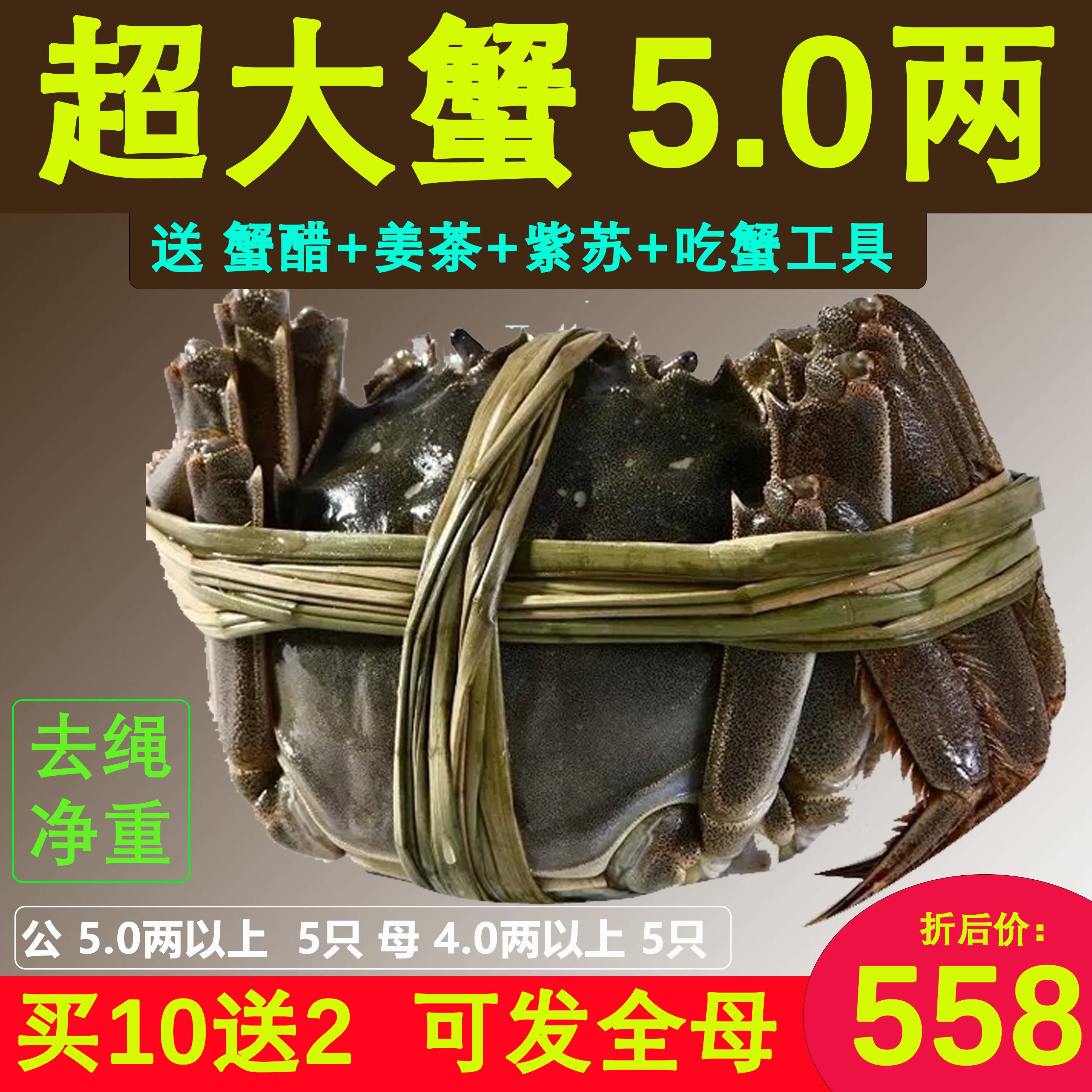 武汉 大闸蟹 湖北公螃蟹5两以上5只 母4两以上5只 鲜活