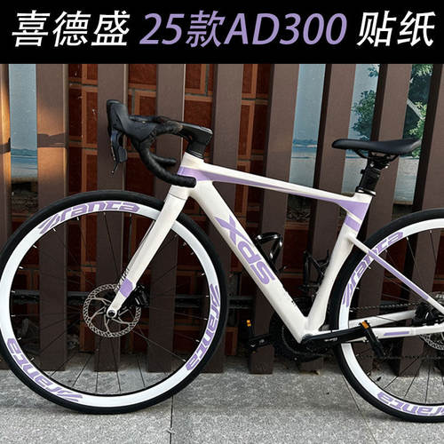 适用于25款喜德盛AD300公