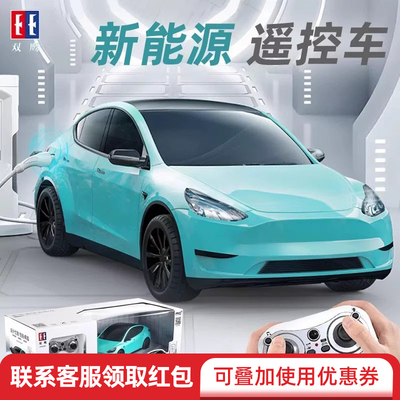 电动特斯拉男孩玩具双鹰遥控车