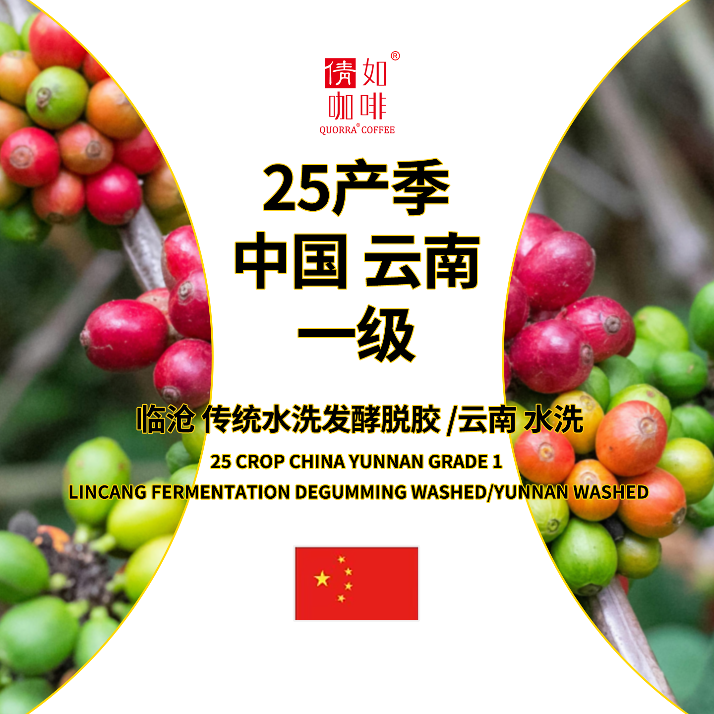 25产季咖啡生豆云南一级水洗干净