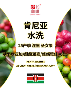 咖啡生豆 肯尼亚 涅里 圣女果水洗&基里尼亚加/麒麟雅嘉AA++水洗