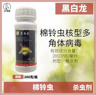 黑白龙棉铃虫核型多角体病毒棉铃虫杀虫剂