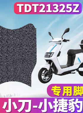 适用于小刀小捷豹锂享领航版电动车丝圈脚垫耐磨防水TDT21325Z
