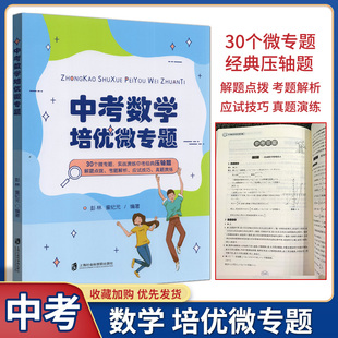 实战演练中考经典 压轴题 彭林 2021新版 编著 30个微专题 童纪元 初中通用备战中考专题训练锻炼数学思维 中考数学培优微专题