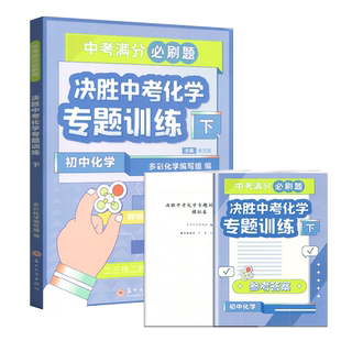 2023版中考满分必刷题决胜中考化学专题训练下初三中考化学复习真题强化训练专题突破练习压轴题策略解题方法与技巧