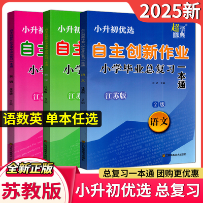 备考2025年小升初自主创新作业