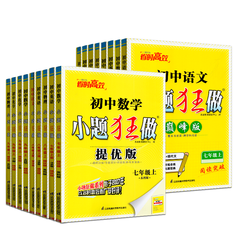 恩波教育小题狂做初中巅峰版