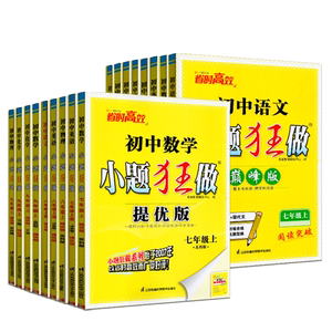 恩波教育小题狂做初中巅峰版