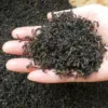 Товары от 四季青茶业