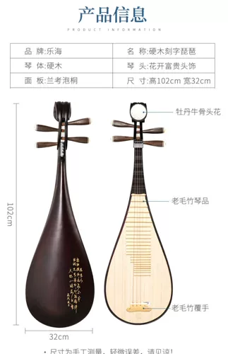 Музыкальные инструменты, профессиональная практика для начинающих для взрослых, материал