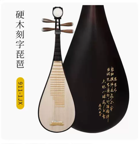 Музыкальные инструменты, профессиональная практика для начинающих для взрослых, материал