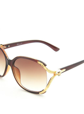 雷迈太阳镜新款时尚渐变大框潮流