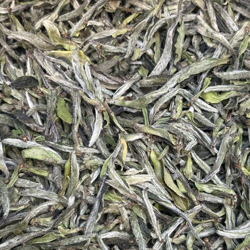 2026年福鼎白茶高山老树大白牡丹王华茶一号碳焙白牡丹水甜250克
