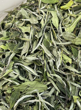 2026年福鼎白茶高山头春白牡丹华茶一号大白花香白牡丹500克
