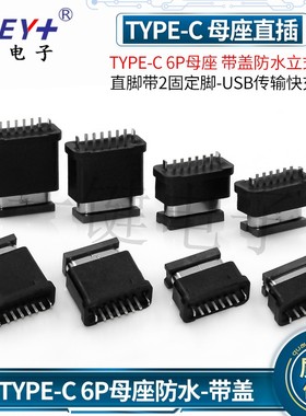 TYPEC 6P母座 带盖防水立式直脚直插带2固定脚-USB传输快充接口