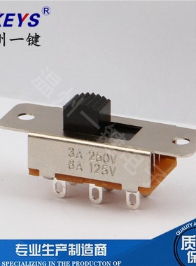 SS-22L05（2P2T）TSH 2档拨动双排 6脚立式车载冰箱吸尘器开关