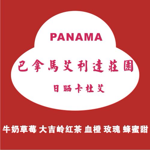 新批次新产季精品咖啡生豆