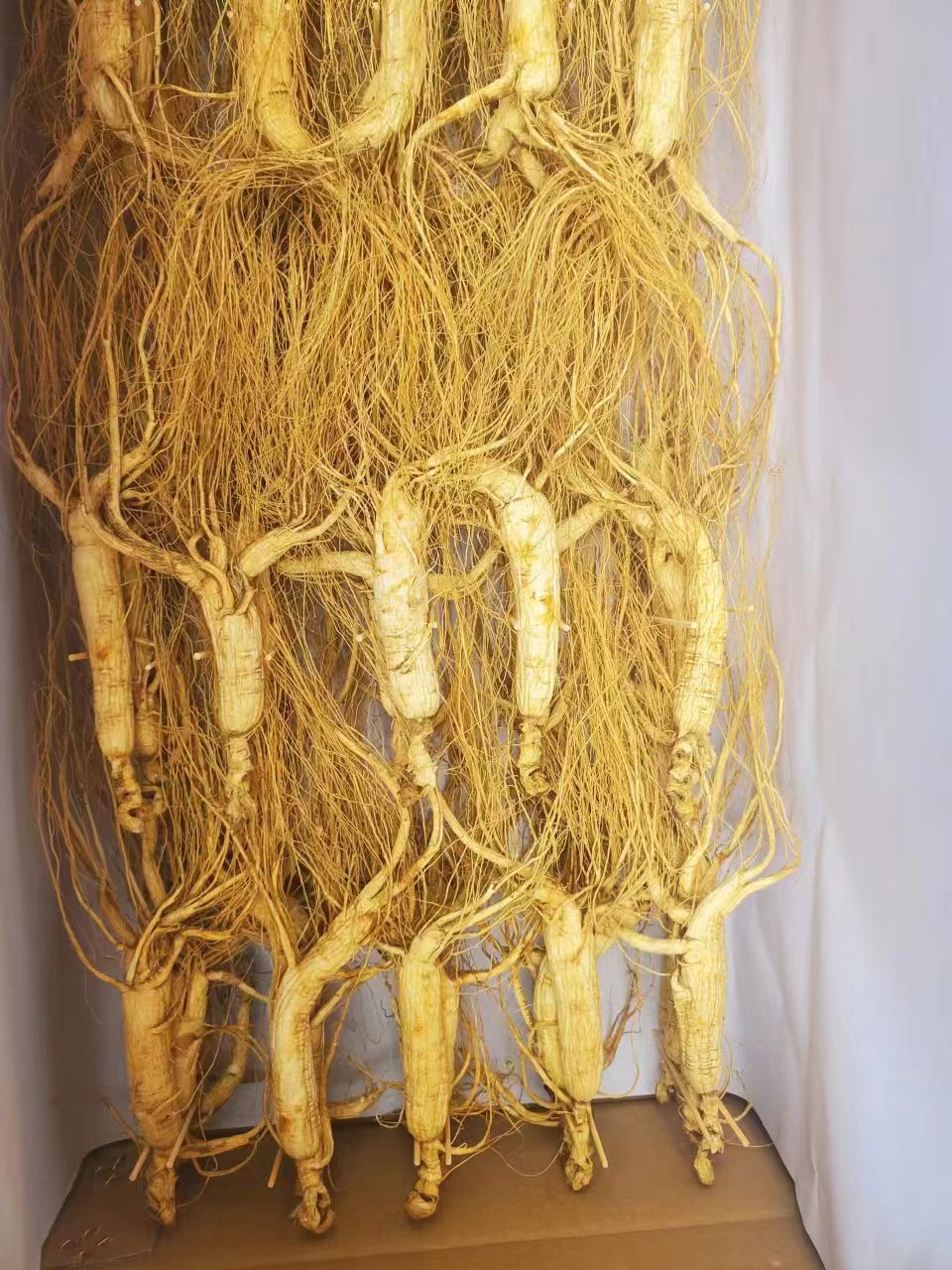 中国东北人参林下参整支10克每支500克450元