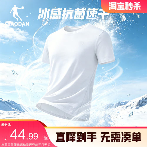 乔丹吸湿速干短袖t恤男士