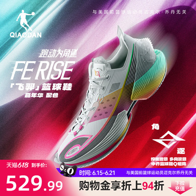 乔丹FERISE飞羿碳板篮球鞋