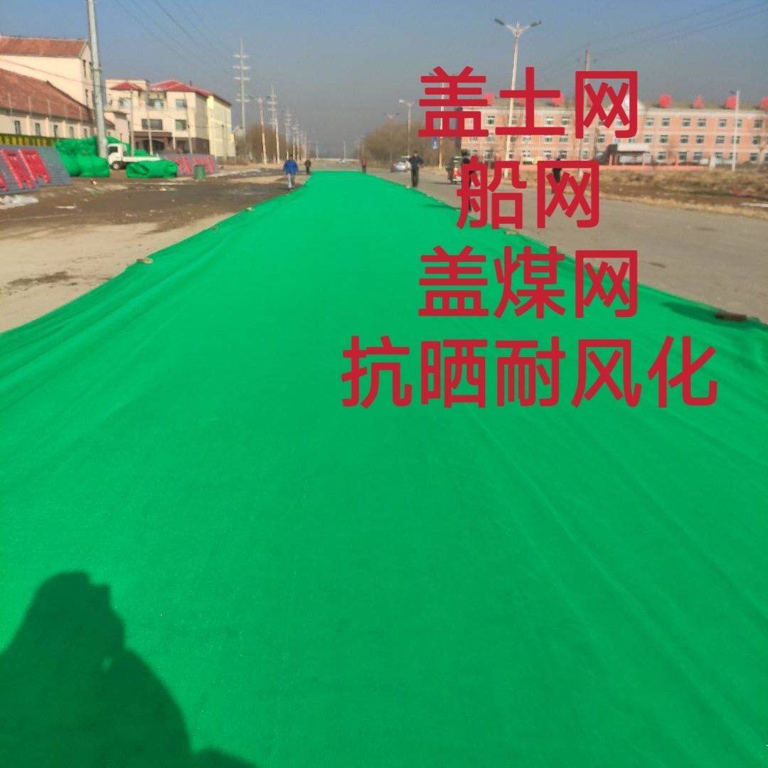 船用防尘网盖煤网盖土网封车盖沙港口专用苫垛网封仓网绿色覆盖网图片