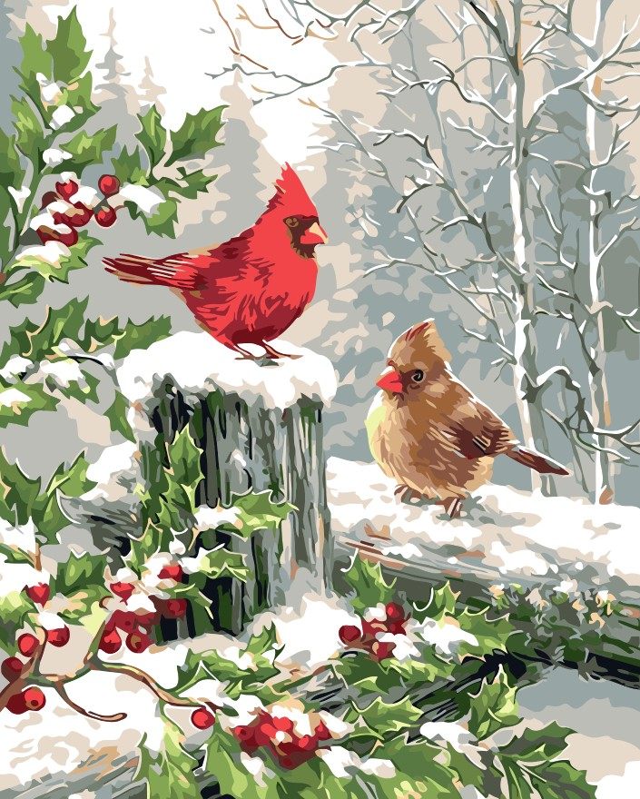 数字油画diy 客厅动物风景 淡彩丙烯颜料数字填色手绘画 红嘴小鸟