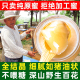 蜂蜜农家自产百花蜜纯正天然纯结晶土峰冬蜜糖商用正宗野生无添加