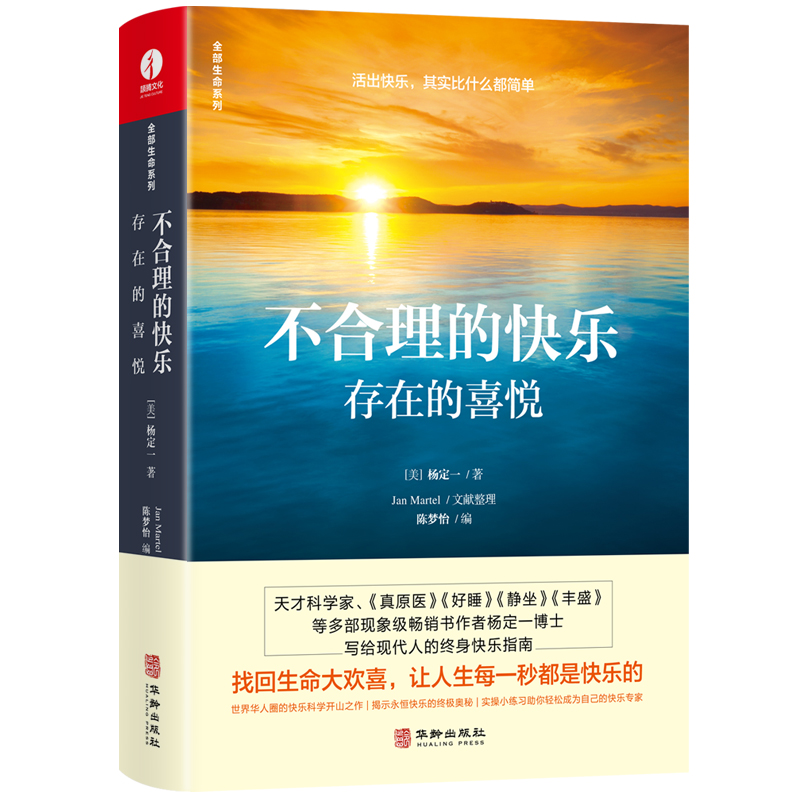 杨定一不合理的快乐 存在的喜悦 杨定一的书全部的你系列之一 正能量文学书籍 心理励志成长青春励志心灵与修养书籍 华龄出版社